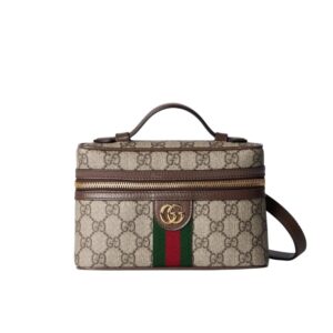 Gucci Ophidia Small Vanity Bag Beige And Dark Brown 18Cm ‎816357 96IWG 8745