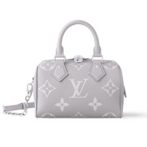 Louis Vuitton Speedy Bandoulière 20 Bag Gray 20Cm M14207