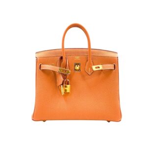 Hermes Birkin 25 Bag Togo Orange 25Cm