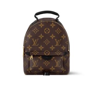 Louis Vuitton Palm Springs Mini Backpack Brown 22Cm M44873